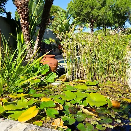 Bonito 56 - Clever Details 别墅 *